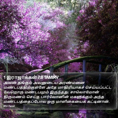 1 இராஜாக்கள் 7:8 TAMIRV Bible Verse Image