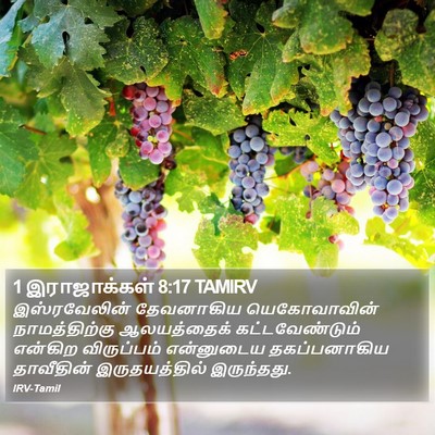 1 இராஜாக்கள் 8:17 TAMIRV Bible Verse Image