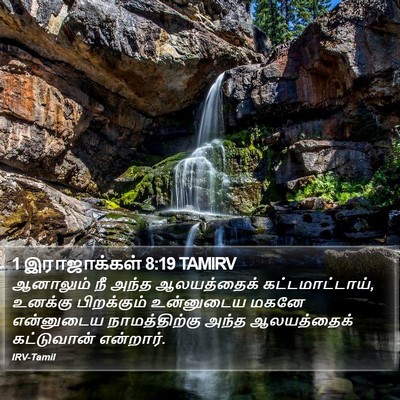 1 இராஜாக்கள் 8:19 TAMIRV Bible Verse Image