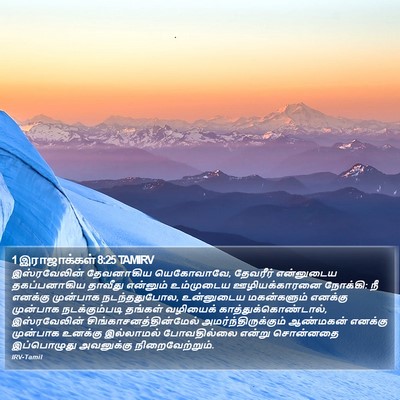 1 இராஜாக்கள் 8:25 TAMIRV Bible Verse Image