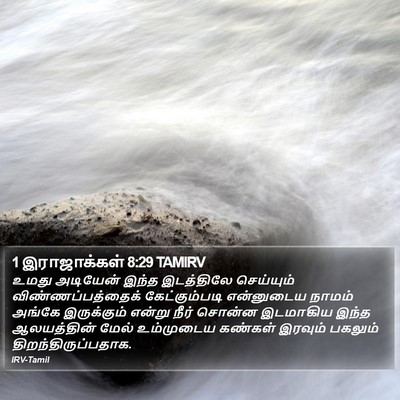 1 இராஜாக்கள் 8:29 TAMIRV Bible Verse Image