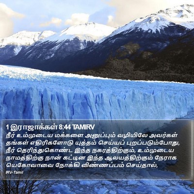 1 இராஜாக்கள் 8:44 TAMIRV Bible Verse Image