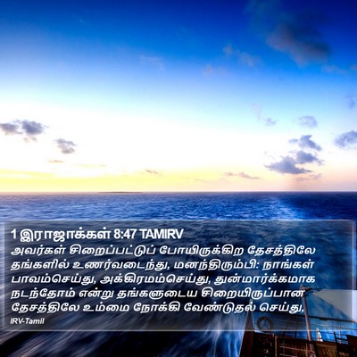 1 இராஜாக்கள் 8:47 TAMIRV Bible Verse Image