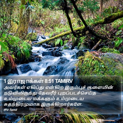 1 இராஜாக்கள் 8:51 TAMIRV Bible Verse Image
