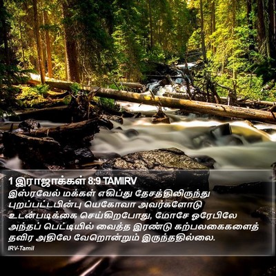 1 இராஜாக்கள் 8:9 TAMIRV Bible Verse Image