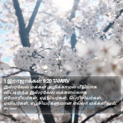 1 இராஜாக்கள் 9:20 TAMIRV Bible Verse Image