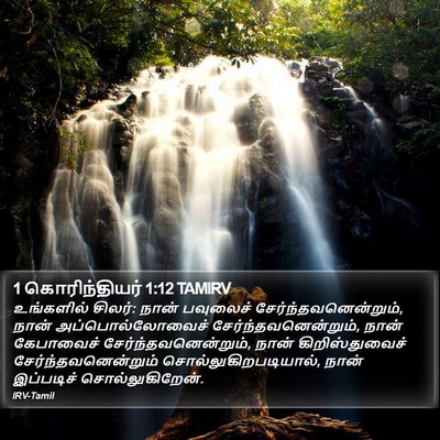 1 கொரிந்தியர் 1:12 TAMIRV Bible Verse Image