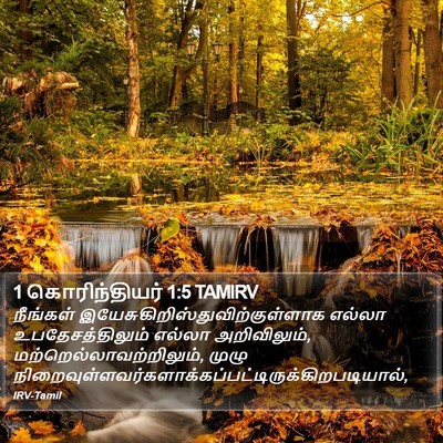 1 கொரிந்தியர் 1:5 TAMIRV Bible Verse Image