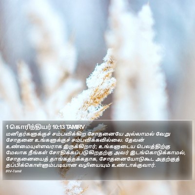 1 கொரிந்தியர் 10:13 TAMIRV Bible Verse Image