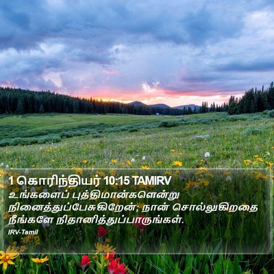 1 கொரிந்தியர் 10:15 TAMIRV Bible Verse Image