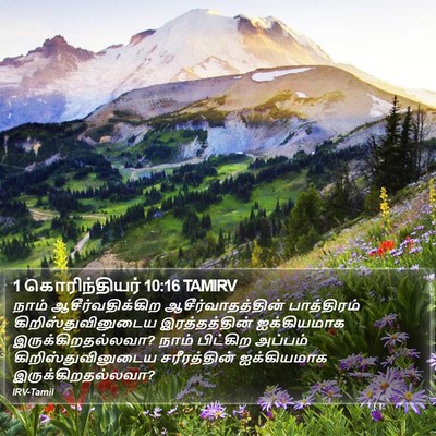 1 கொரிந்தியர் 10:16 TAMIRV Bible Verse Image