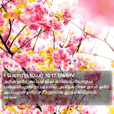 1 கொரிந்தியர் 10:17 TAMIRV Bible Verse Image