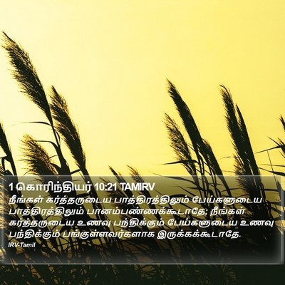 1 கொரிந்தியர் 10:21 TAMIRV Bible Verse Image