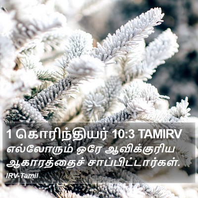 1 கொரிந்தியர் 10:3 TAMIRV Bible Verse Image