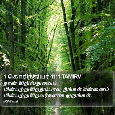 1 கொரிந்தியர் 11:1 TAMIRV Bible Verse Image
