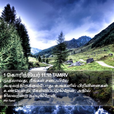 1 கொரிந்தியர் 11:18 TAMIRV Bible Verse Image