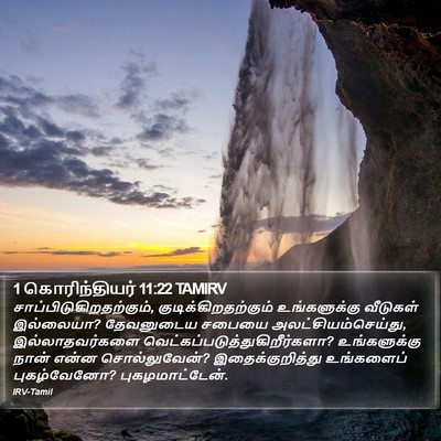 1 கொரிந்தியர் 11:22 TAMIRV Bible Verse Image