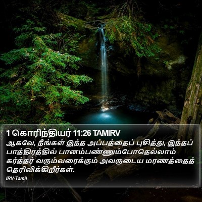 1 கொரிந்தியர் 11:26 TAMIRV Bible Verse Image