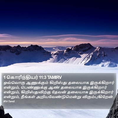 1 கொரிந்தியர் 11:3 TAMIRV Bible Verse Image