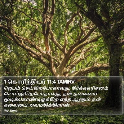 1 கொரிந்தியர் 11:4 TAMIRV Bible Verse Image