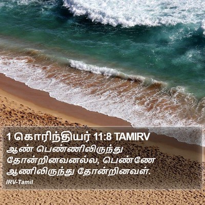 1 கொரிந்தியர் 11:8 TAMIRV Bible Verse Image