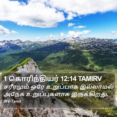 1 கொரிந்தியர் 12:14 TAMIRV Bible Verse Image