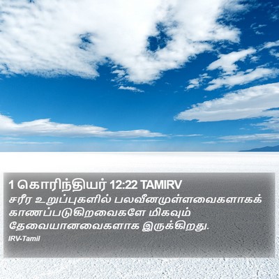 1 கொரிந்தியர் 12:22 TAMIRV Bible Verse Image