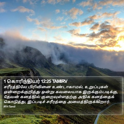 1 கொரிந்தியர் 12:25 TAMIRV Bible Verse Image