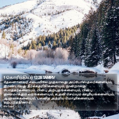 1 கொரிந்தியர் 12:28 TAMIRV Bible Verse Image