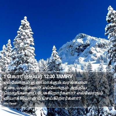 1 கொரிந்தியர் 12:30 TAMIRV Bible Verse Image