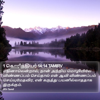 1 கொரிந்தியர் 14:14 TAMIRV Bible Verse Image