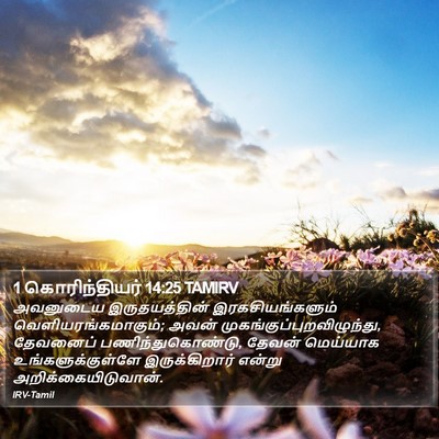 1 கொரிந்தியர் 14:25 TAMIRV Bible Verse Image