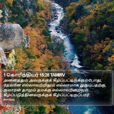 1 கொரிந்தியர் 15:28 TAMIRV Bible Verse Image