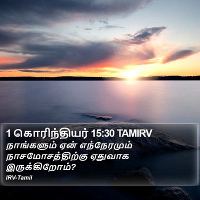 1 கொரிந்தியர் 15:30 TAMIRV Bible Verse Image