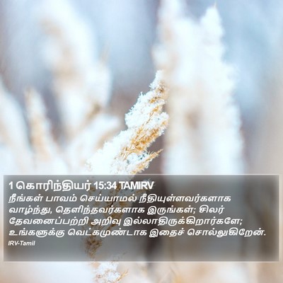 1 கொரிந்தியர் 15:34 TAMIRV Bible Verse Image