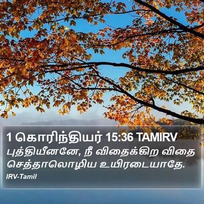 1 கொரிந்தியர் 15:36 TAMIRV Bible Verse Image
