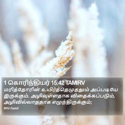 1 கொரிந்தியர் 15:42 TAMIRV Bible Verse Image