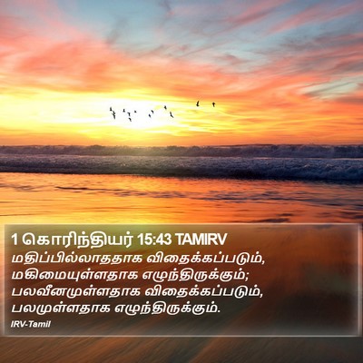 1 கொரிந்தியர் 15:43 TAMIRV Bible Verse Image