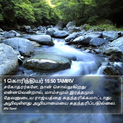 1 கொரிந்தியர் 15:50 TAMIRV Bible Verse Image