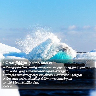 1 கொரிந்தியர் 16:15 TAMIRV Bible Verse Image