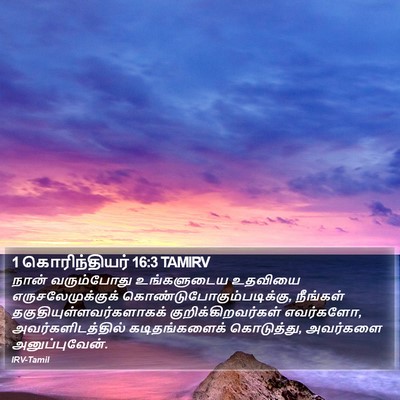 1 கொரிந்தியர் 16:3 TAMIRV Bible Verse Image