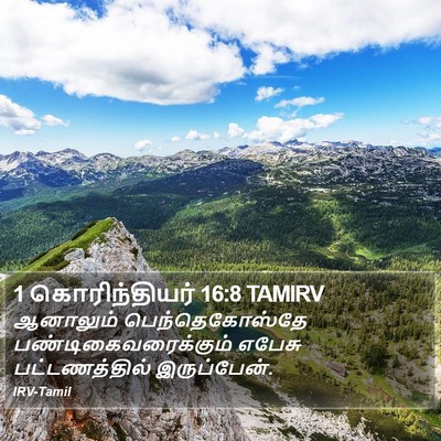 1 கொரிந்தியர் 16:8 TAMIRV Bible Verse Image