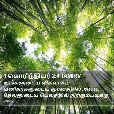 1 கொரிந்தியர் 2:4 TAMIRV Bible Verse Image
