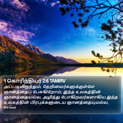 1 கொரிந்தியர் 2:6 TAMIRV Bible Verse Image