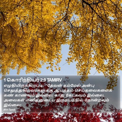 1 கொரிந்தியர் 2:9 TAMIRV Bible Verse Image