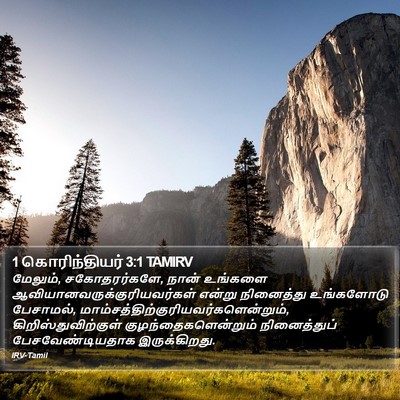 1 கொரிந்தியர் 3:1 TAMIRV Bible Verse Image