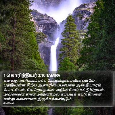 1 கொரிந்தியர் 3:10 TAMIRV Bible Verse Image