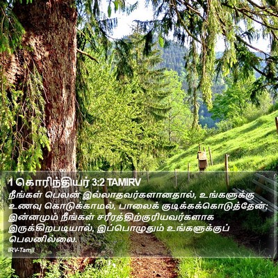 1 கொரிந்தியர் 3:2 TAMIRV Bible Verse Image