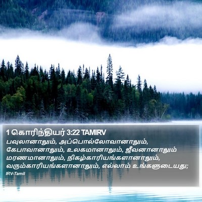 1 கொரிந்தியர் 3:22 TAMIRV Bible Verse Image