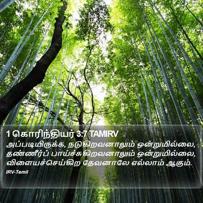 1 கொரிந்தியர் 3:7 TAMIRV Bible Verse Image